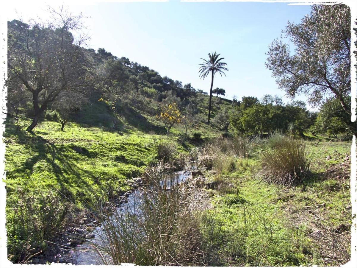 Cortijo Casas Viejas Βίλα Μάλαγα Εξωτερικό φωτογραφία