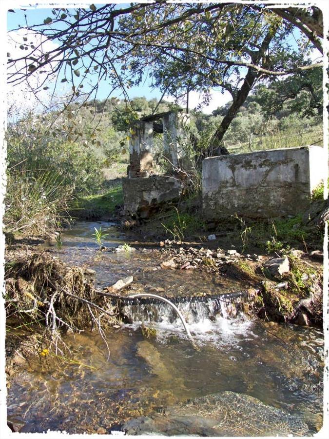Cortijo Casas Viejas Βίλα Μάλαγα Εξωτερικό φωτογραφία