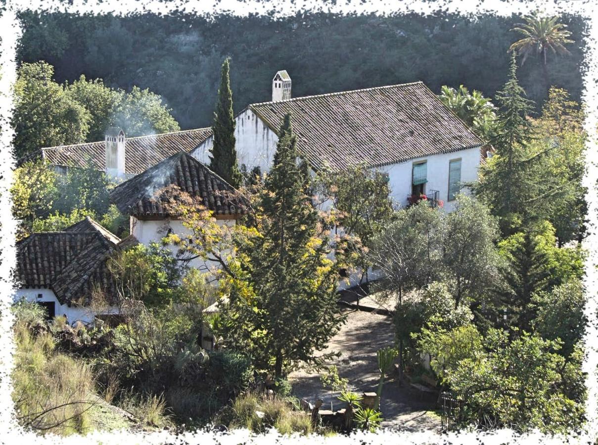 Cortijo Casas Viejas Βίλα Μάλαγα Εξωτερικό φωτογραφία