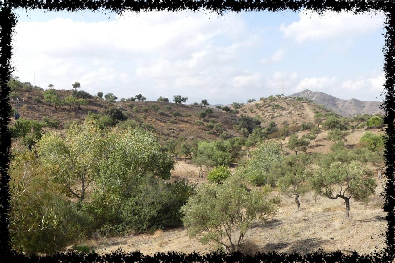 Cortijo Casas Viejas Βίλα Μάλαγα Εξωτερικό φωτογραφία